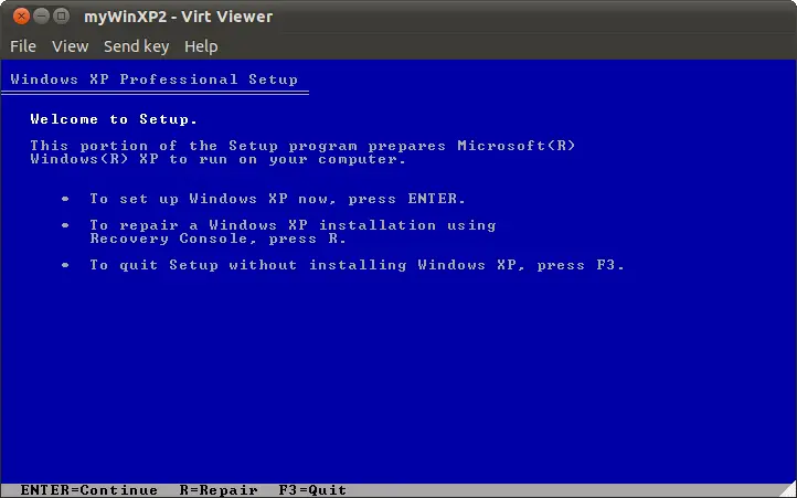 A KVM guest running on Ubuntu 11.04 in the virt-viewer