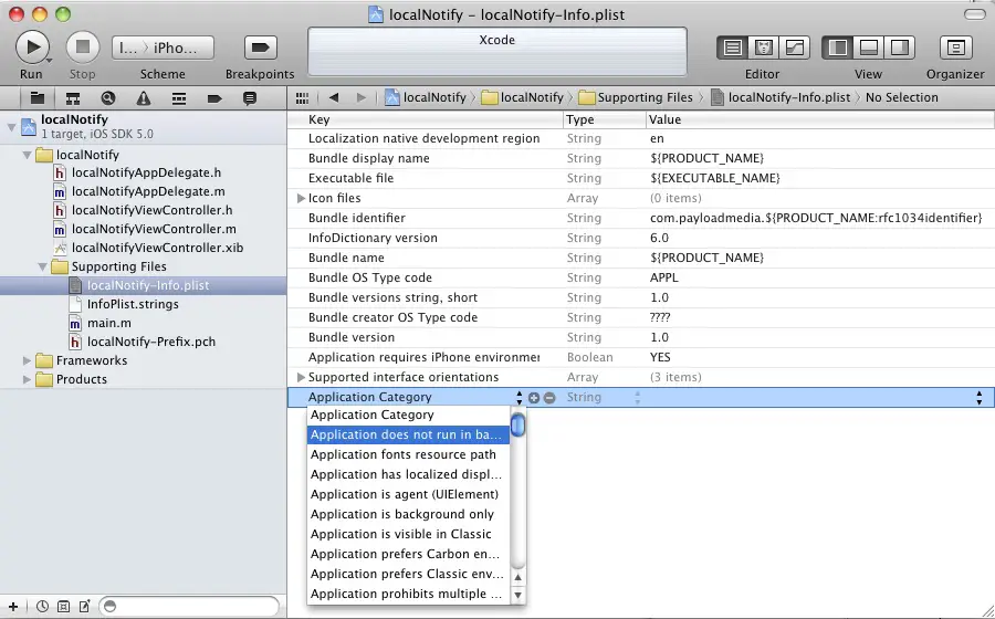 Disabling multitasking support for an iOS 5 iPad application