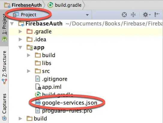 Firebase google services.png