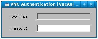 vncviewer seeking a password to access a remote desktop