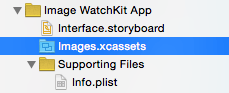 Selecting the image asset catalog