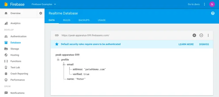 Firebase realtime database console.png