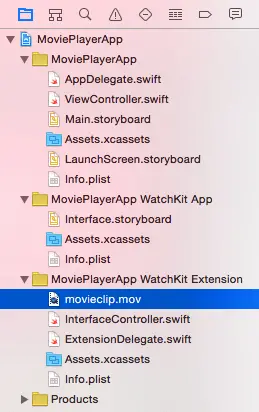 The movie file added to WatchKit extension