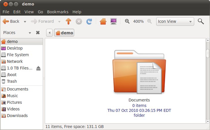 The Ubuntu 10.10 file manager at full zoom with captions enabled
