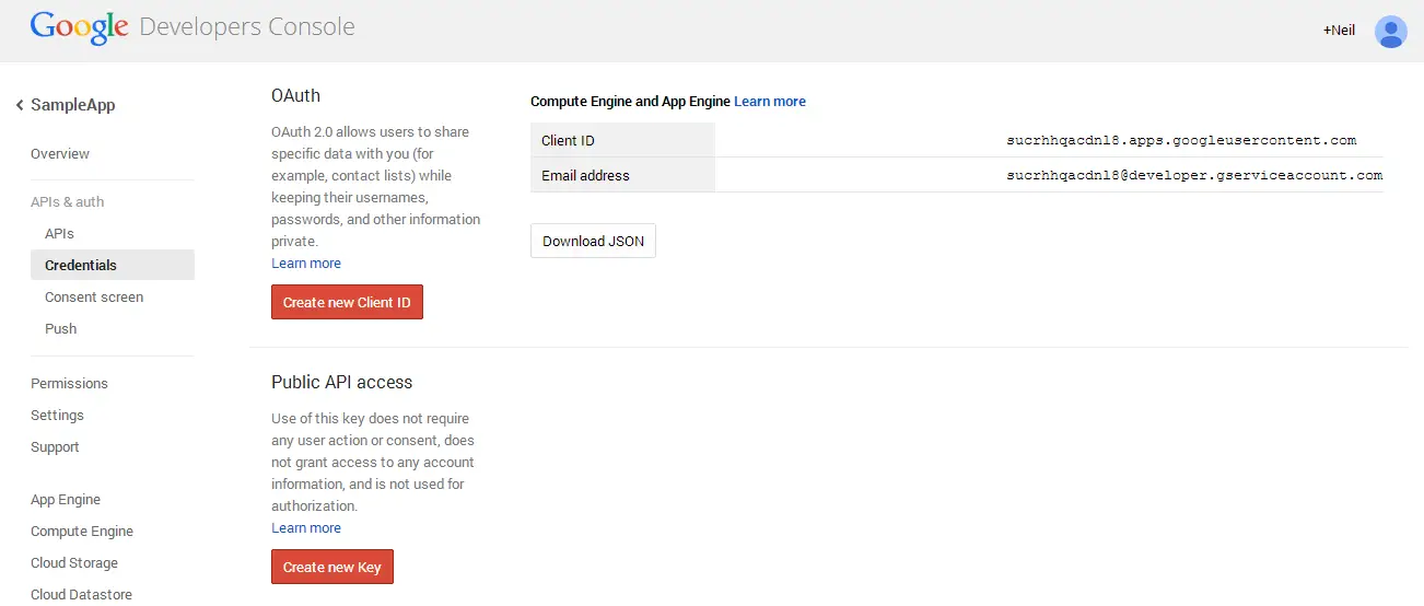 Google Developer Console Credentials