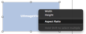Interface builder aspect ratio.png
