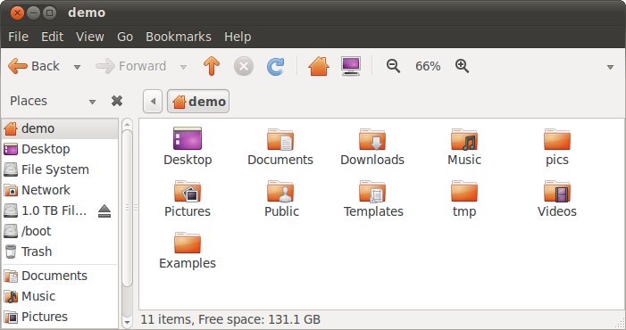 Ubuntu 10.10 File Manager at 66% zoom