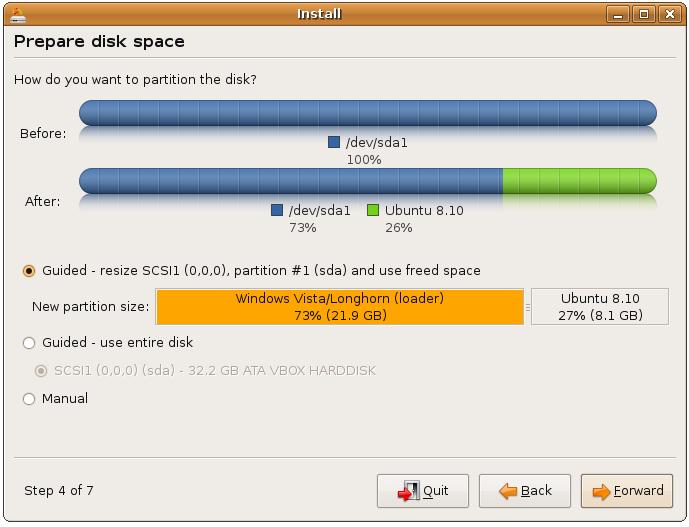 Ubuntu Linux Installation Disk Partitioning Screen