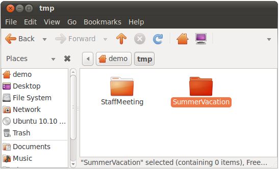 Folders in the Ubuntu 10.10 file manager