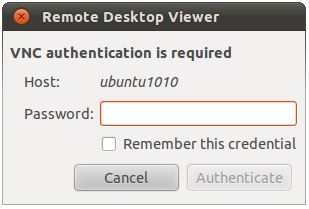 The VNC system requesting a password for remote desktop access