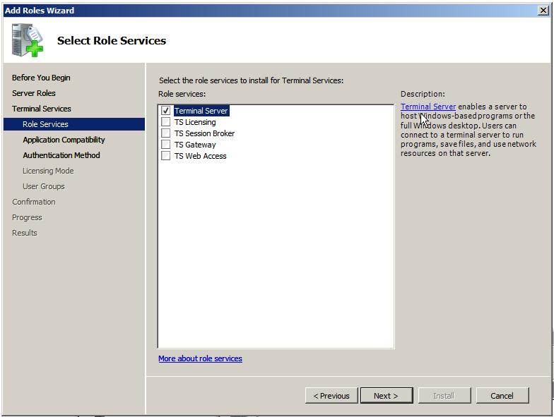 Selecting Terminal Services for Windows Server 2008