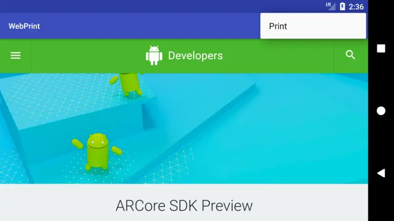 As3.0 web print page loaded.png