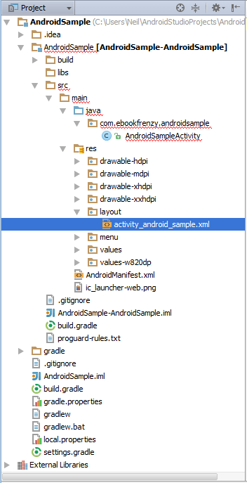 The Android Studio Project tool window