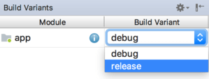 As3.0 build variants release.png