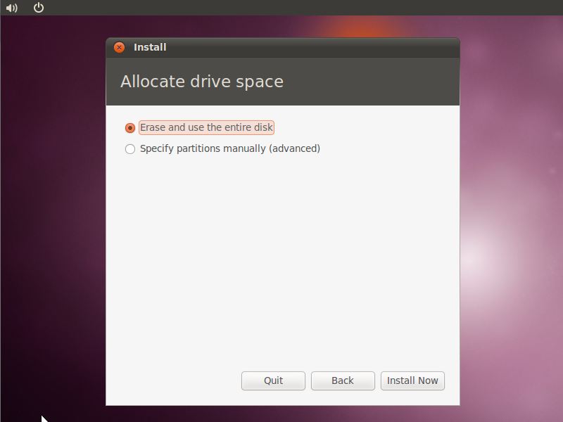 Ubuntu 10.10 Installation Disk Allocation