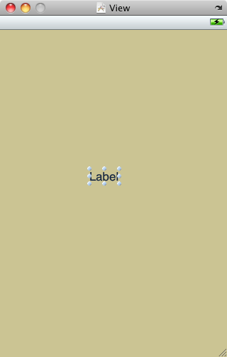 An iPhone View in Interface Builder with a single label object