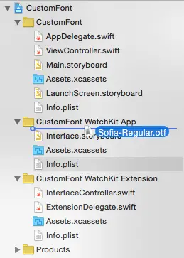Watchos2 add custom font file.png