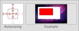 The Xcode autosize settings panel