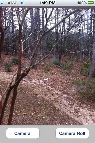 The iPhone camera example after a photo has been taken by the user