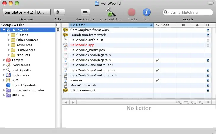 An iOS application project in the main Xcode window