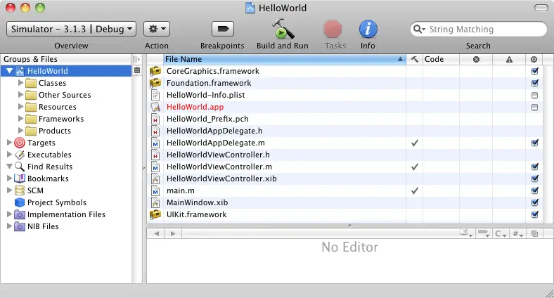 The Xcode main project window