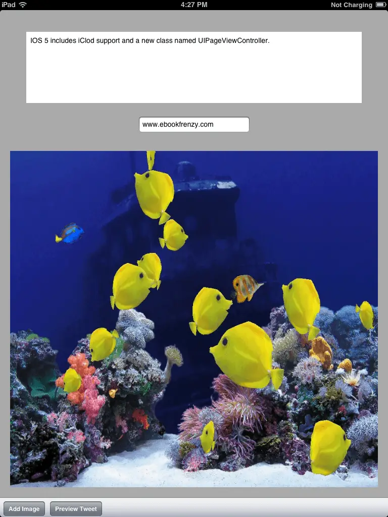 The iOS 5 ipad Twitter example app running